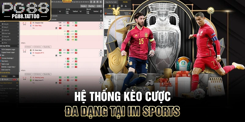 Hệ thống kèo cược đa dạng tại IM Thể thao
